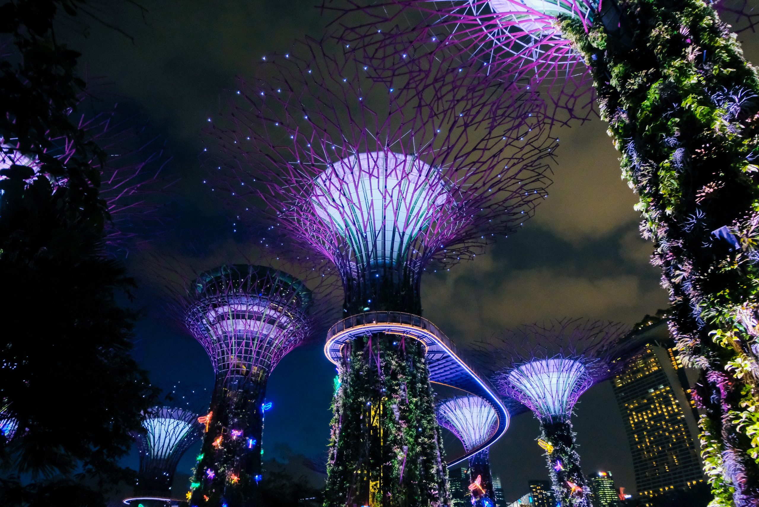 Supertree Grove Singapore makes it different